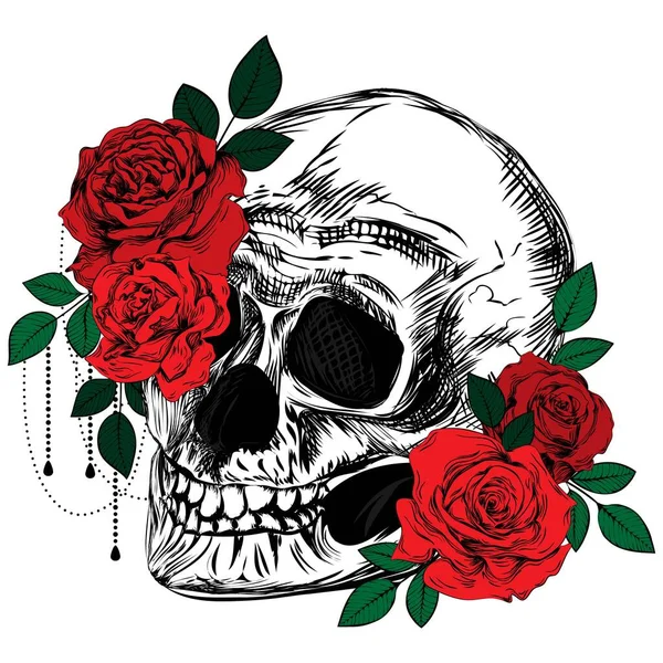 Ramo Rosas Cráneo Ilustración Línea Botánica Coloreada Boceto Tatuaje Vintage — Vector de stock