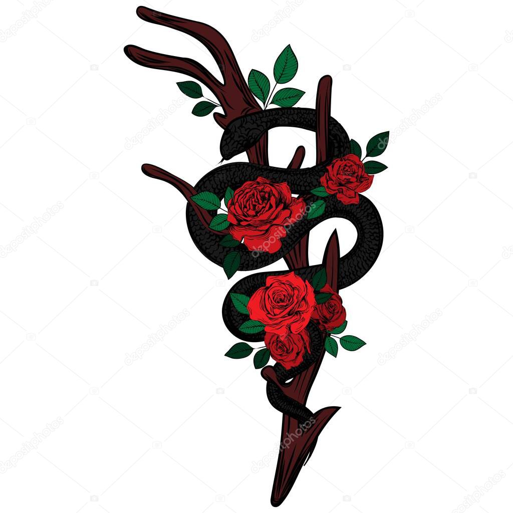 Bouquet of roses, snake and horns. Colored botanical line art illustration. Sketch. Gothic vintage tattoo.