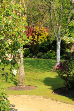 İskoçya'da güzel bahar bahçe