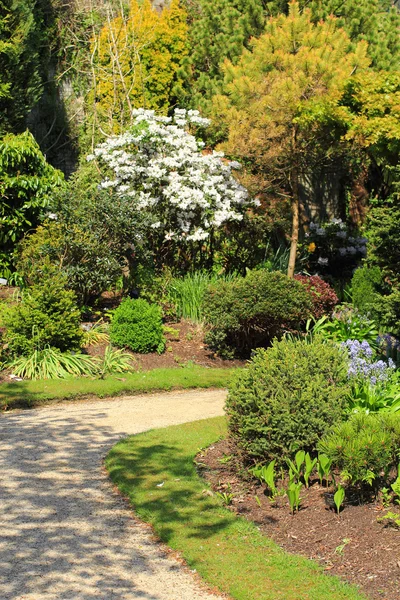 Beau jardin de printemps en Écosse — Photo