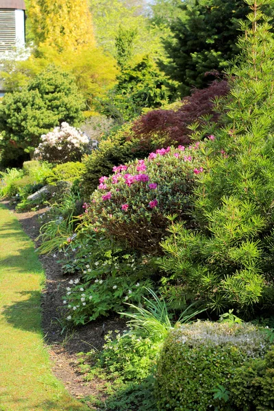 Schöner Frühlingsgarten in Schottland — Stockfoto