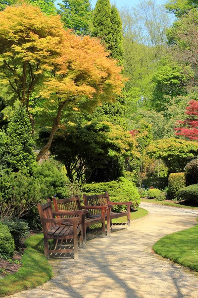 Beau jardin de printemps en Écosse — Photo