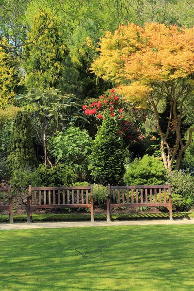 Hermoso jardín de primavera en Escocia — Foto de Stock