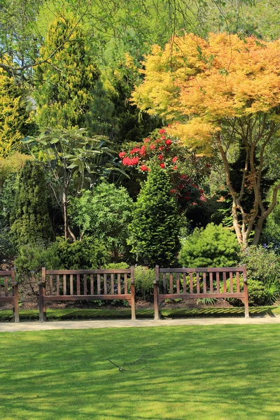 Belo jardim de primavera na Escócia — Fotografia de Stock