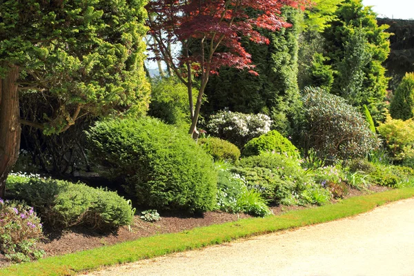 Krásný jarní zahrada ve Skotsku — Stock fotografie