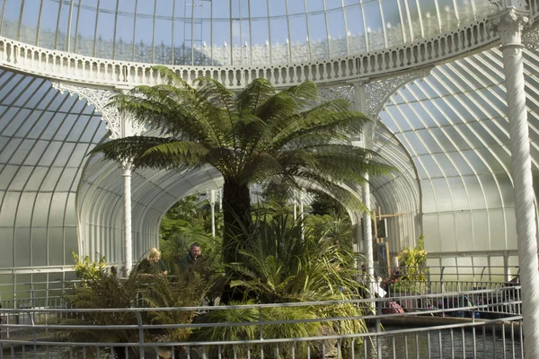 Hermoso invernadero en Glasgow Botanic Gardens — Foto de Stock