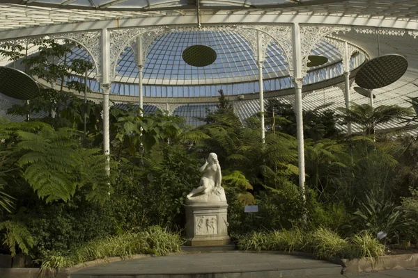 Hermoso invernadero en Glasgow Botanic Gardens — Foto de Stock