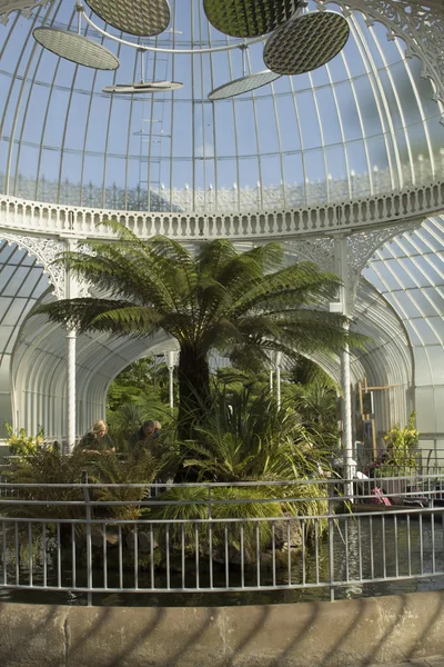 Hermoso invernadero en Glasgow Botanic Gardens — Foto de Stock