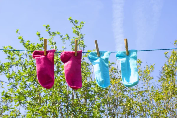 Linha de roupas com meias coloridas — Fotografia de Stock