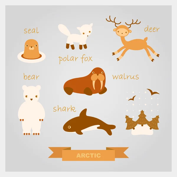 Ilustrações vetoriais de animais polares —  Vetores de Stock