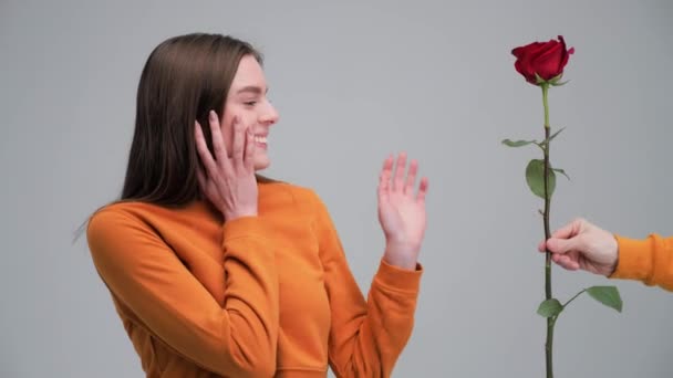 Sorprendido hermosa chica recibe una rosa roja de una mano de hombre. — Vídeos de Stock