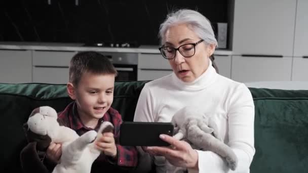 Grå hår mormor och sonson har kul att prata på videosamtal hemma. — Stockvideo