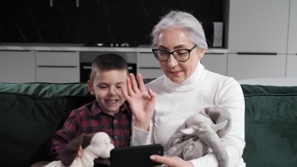 Grå hår mormor och sonson har kul att prata på videosamtal hemma. — Stockvideo