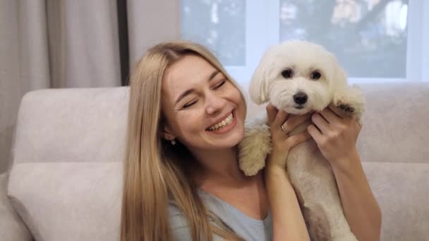 En lycklig flicka klappar hunden när hon sitter hemma Djur koncept. — Stockvideo