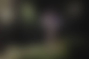 a neon color blur texture backdrop