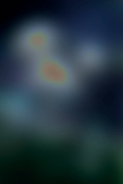 a neon color blur texture backdrop