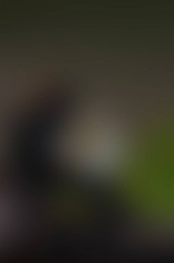 a neon color blur texture backdrop