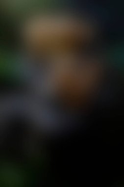 a neon color blur texture backdrop