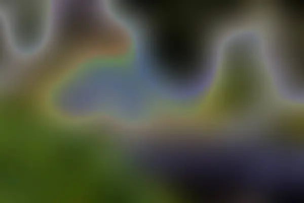 Neon Color Blur Texture Backdrop —  Fotos de Stock