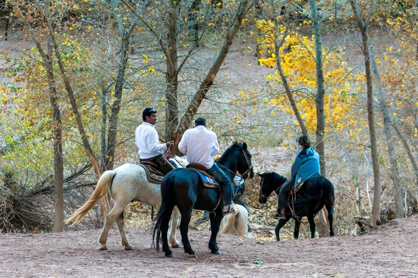 CANYON DE CHELLY, ARIZONA / USA - NOVEMBER 12: Ridning på heste i Ca - Stock-foto