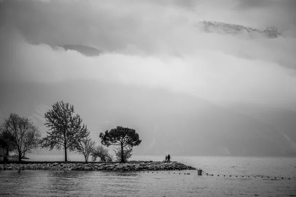 Riva Del Garda, Włochy/Trydent - 28 marca: Drzewa na brzegu — Zdjęcie stockowe