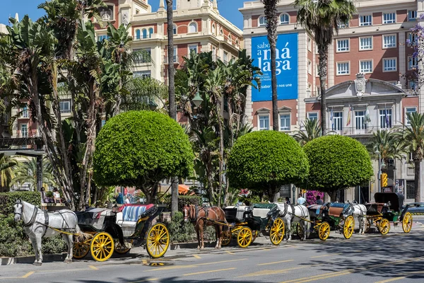 MALAGA, ANDALUCIA/SPAIN - MAY 25 : Traditional Horses and Carria — Stock Photo, Image