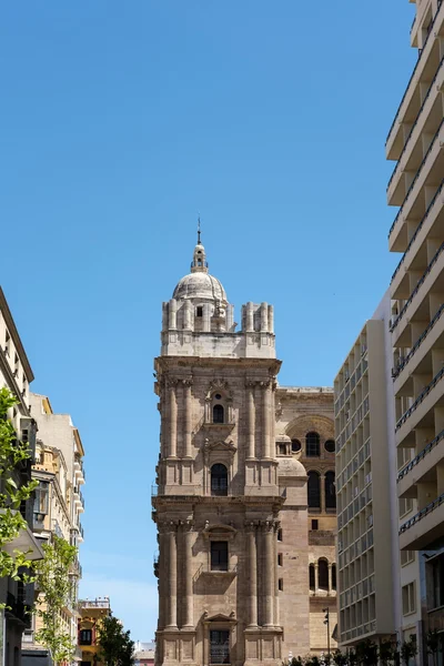 MALAGA, ANDALUCIA/SPAIN - MAY 25 : View towards Malaga Cathedral — Stock Photo, Image