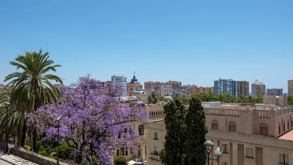 Málaga, Andalusien/Spanien - 25 maj: Visa från fortet Alcazaba en — Stockfoto