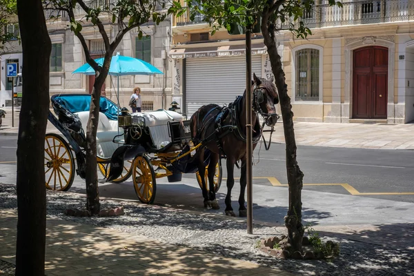 Malaga, Andalucia i Hiszpanii - 25 maja: Tradycyjne konia i dziecięc — Zdjęcie stockowe