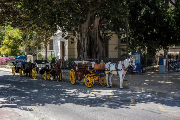 Malaga, Andalusie/Španělsko - 25. května: Tradiční koně a Carriag — Stock fotografie