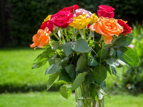 Ваза барвистих троянд в саду — стокове фото