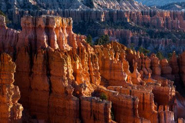Hoodoos ve çam ağaçları içinde Bryce Canyon güneş öptü