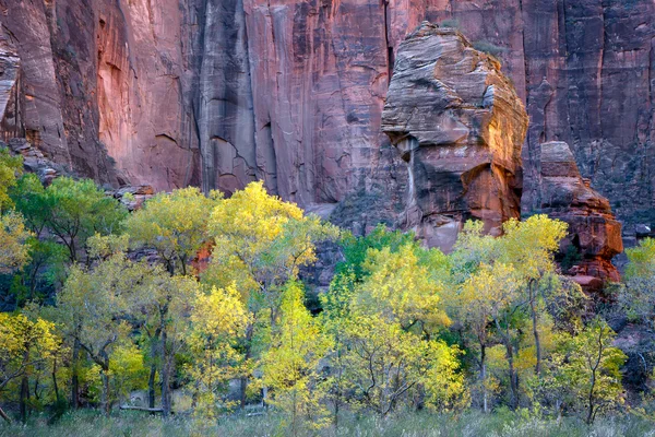 Parco nazionale di Pulpit Rock Zion — Foto Stock