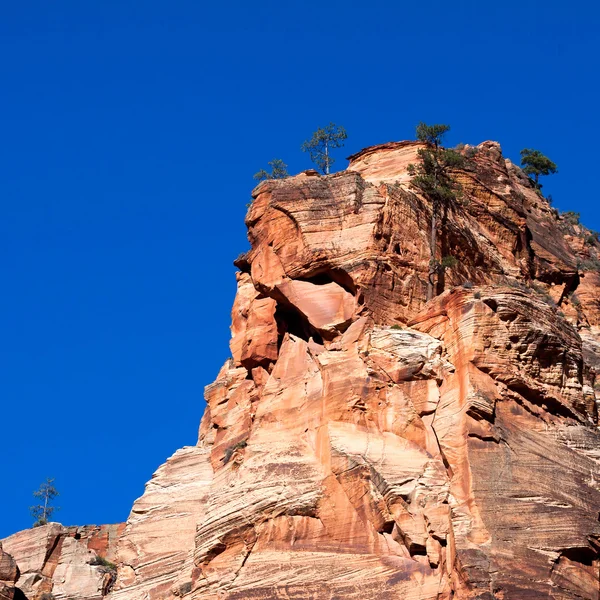 Rocky Outcrop nel Parco Nazionale di Zion — Foto Stock