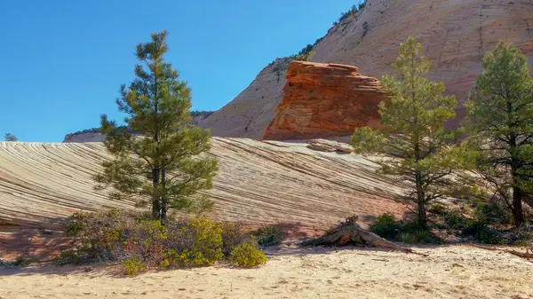 Strange Rock Formation and Checkerboard Mesa in Zion — Stock Photo, Image