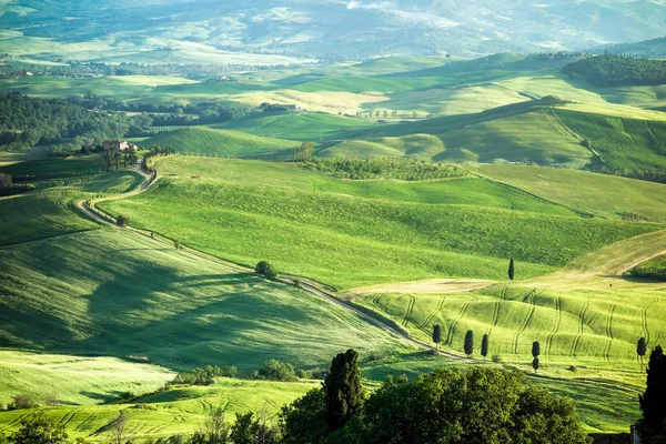 Val D'Orcia, Toskana/İtalya - 16 Mayıs : Val d'Orcia kırsalı