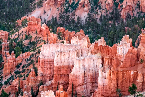 Vista panorámica del cañón de Bryce — Foto de Stock