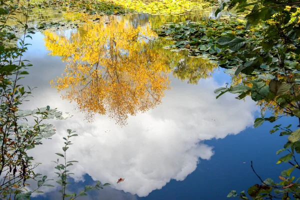 Reflexiones Sobre Día Soleado Otoño Lago Surrey —  Fotos de Stock