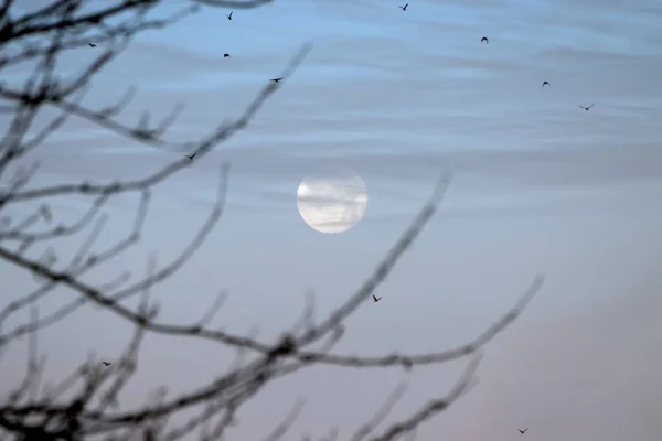 Утренняя Луна Заходит Осенний День Над Восточным Гринстедом — стоковое фото