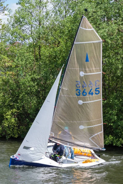 Richmond Surrey May Sailing River Thames Hampton Court Richmond May — Stock Photo, Image