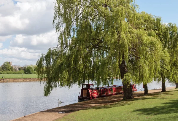 Windsor Royaume Uni Avril Bateau Étroit Amarré Sous Saule Windsor — Photo