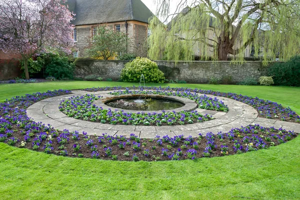 Oxford Oxfordshire March Formal Flowerbed Oxford March 2005 — Stock Photo, Image