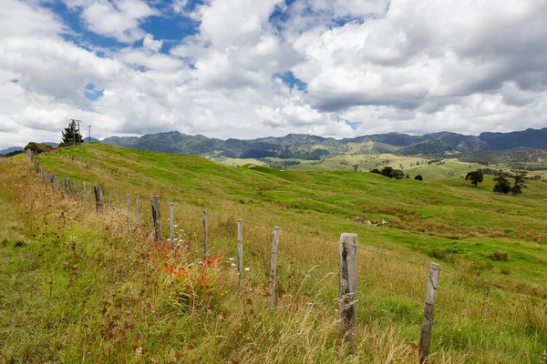 Verdant Golvend Landschap Van Het Noordereiland Nieuw Zeeland — Stockfoto