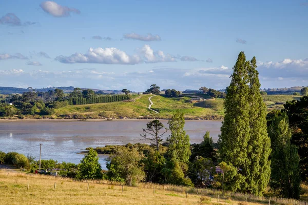 Getijdenrivier Landschap Het Noordereiland Van Nieuw Zeeland — Stockfoto