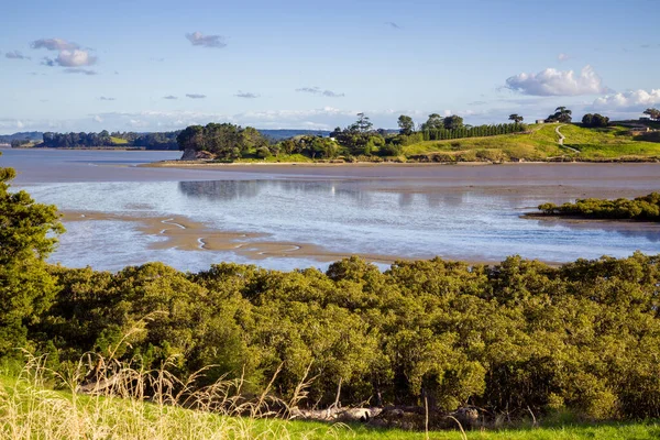 Tidvatten Flod Landskap Nordön Nya Zeeland — Stockfoto