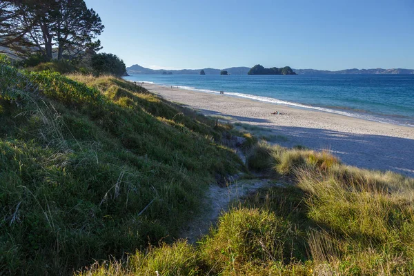 Hahei New Zealand Luty Letni Wieczór Plaży Hahei Nowej Zelandii — Zdjęcie stockowe