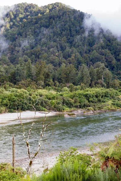 Veduta Della Buller River Valley Nuova Zelanda — Foto Stock