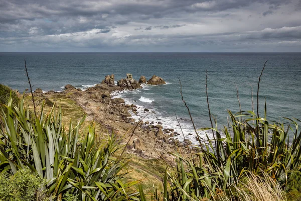 Côtes Près Cape Foulwind Nouvelle Zélande — Photo