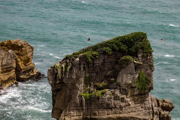 Panqueca Rochas Perto Punakaiki Nova Zelândia — Fotografia de Stock