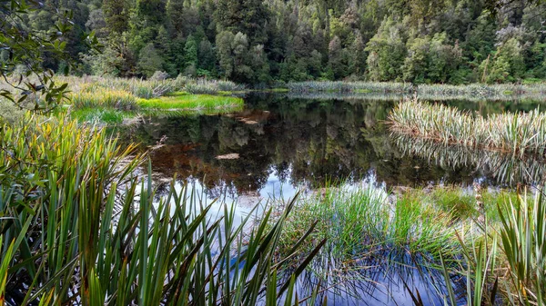 Naturlig Utsikt Mathesonsjøen New Zealand Sommeren – stockfoto